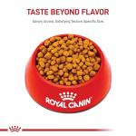 Royal Canin Chihuahua Adult Breed Specific Dry Dog Food, 2.5 lb. Bag