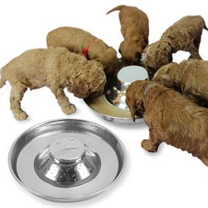 Podinor Stainless Steel Puppy Dog Bowls 2 Pack, Pets Puppies Feeding Food and Water Weaning Bowls Dishes Feeder, 11.8 Inch