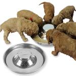 Podinor Stainless Steel Puppy Dog Bowls 2 Pack, Pets Puppies Feeding Food and Water Weaning Bowls Dishes Feeder, 11.8 Inch