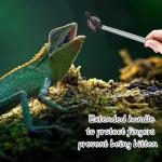 2PCS Stainless Steel Reptile Feeding Tongs with Rubber Tip, 10.6" Straight & Curved Long Tweezers, Perfect for Aquariums & Crafts - Ideal Bearded Dragon Tank Accessories, Terrarium Supplies (Sliver)