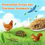 Amzey Dried Mealworms 2 LB, 100% Natural Meal Worms for Chicken & Birds, Organic Chicken Feed for Laying Hens, High Protein and Nutrition, Zipped Bag