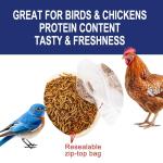 RANZ 5LBS Non-GMO Dried Mealworms for Chickens, High Protein Meal Worms, Premium Chicken Feed, Perfect Bird Food and Chicken Treats, Whole Large Mealworms for Wild Birds, Ducks, Fish