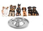 Puppy Bowls for Litter, 3 Puppy Food Bowl, Stainless Steel Puppy Feeding Bowls, Puppy Mush Bowl,11.5'', Food Feeding Puppy Weaning Bowl for Small Medium Large Pets, Puppy Feeder Bowl, Puppy Saucer