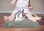 Vehomy 4Pcs Guinea Pig Blankets Hamster Flannel Blanket Bunny Blanket Cage Liners Small Pet Fleece Sleep Blankets Bedding Mats Bathe Towels for Hamster Guinea Pig Rabbit Kitten Chinchilla Hedgehog