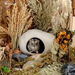 Niteangel Ceramic Hamster Habitat Hideout: - Hideaway House for Syrian Dwarf Hamster Mice Gerbils Lemmings or Other Similar-Sized Small Pet (Stone-Shaped - for Dwarf)