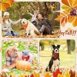 Sweetude 60 Pcs Fall Dog Bandanas Bulk Plaid Bandanas for Dogs Autumn Thanksgiving Pet Scarf Bibs Adjustable Triangle Scarves Costume Accessories Grooming Supplies for Small Medium Large