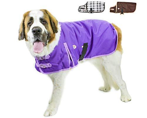 Pet Apparel