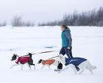 RC Pet Products Cascade Dog Coat, Essential All Weather Dog Jacket, Size 18, Arctic Blue