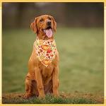 JpGdn 50PCS Fall Dog Bandanas Large Bulk Pumpin Harvest Leaves Forest Autumn Pattern Kerchief Triangle Bibs Head Scarves Scarfs for XL XXL Boys and Girls Grooming Accessories Costume