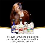 Absorbine ShowSheen Hair Polish & Detangler 32oz Spray Bottle, Horse and Dog Coat, Mane and Tail, Instant Detangling & Reduces Hair Breakage for Healthy Grooming & Radiant Shine