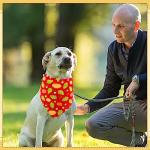 JpGdn 50PCS Fall Dog Bandanas Large Bulk Pumpin Harvest Leaves Forest Autumn Pattern Kerchief Triangle Bibs Head Scarves Scarfs for XL XXL Boys and Girls Grooming Accessories Costume