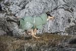 Hurtta Extreme Warmer 2, Winter Dog Coat ECO, Hedge, 10 in