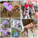 BEAUTYZOO Plaid Dog Coat, Reflective Jacket with Built-in Harness, Waterproof Puffer Vest Turtleneck Pet Apparel for Small to Large Dogs, Purple S