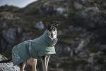 Hurtta Extreme Warmer 2, Winter Dog Coat ECO, Hedge, 10 in