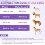 Dog Allergy Chews 200PCs - Dog Allergy and Itching Skin Relief Anti Itch Aller Immune Bites for Dogs Itching licking Paws Treatment Relief Itchy Chew Probiotics Vitamins for Skin and Coat Allergies
