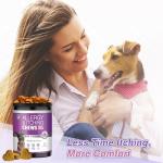 Dog Allergy Chews 200PCs - Dog Allergy and Itching Skin Relief Anti Itch Aller Immune Bites for Dogs Itching licking Paws Treatment Relief Itchy Chew Probiotics Vitamins for Skin and Coat Allergies