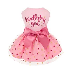 Fitwarm Birthday Girl Dog Tulle Dress, Dog Clothes for Small Dogs Girl, Cat Apparel, Pink, Small