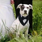 FUAMEY Dog Tuxedo for Small Dogs,Dog Formal Suit Dogs Attire Pet Bow Tie Puppy Party Costumes Cat Tux Outfits Pets Bandana Cosplay Adjustable Bowties Wedding Birthday Valentines Black S