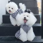 CuteBone Turtleneck Dog Velvet Dress Puppy Skirt Costume Pet Clothes Cat Apparel with Bow Hair Rope for Small Dogs CVD04M