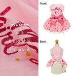 Fitwarm Birthday Girl Dog Tulle Dress, Dog Clothes for Small Dogs Girl, Cat Apparel, Pink, Small