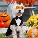 PUMYPOREITY Small Dog Bowtie Tuxedo Suit, Cat Tuxedo & Bandana Set for Chihuahua, Boston Terrier, Bichon, Corgi, Pomeranian, 2 Pieces/Pack, S, Black