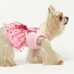Fitwarm Birthday Girl Dog Tulle Dress, Dog Clothes for Small Dogs Girl, Cat Apparel, Pink, Small