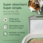 Purina Tidy Cats Breeze Cat Litter Extra Strength Refill Bundle