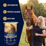 TRIBUTE Kalmbach Feeds Essential K for Horse, 50 lb