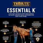TRIBUTE Kalmbach Feeds Essential K for Horse, 50 lb