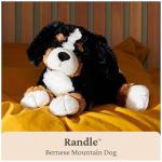 GUND Randle Bernese Mountain Dog, Premium Stuffed Animal Plush for Ages 1 and Up, Black/Brown, 13”