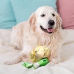 design LAB, Inc. Squid Game Official Merchandise | Plush Toys for Dogs | Gold Nesting Bank with Green Play Money | Interactive Play Toy for Indoor Fun