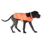 Carhartt Firm Duck Insulated Dog Chore Coat, Durable Weather Resistant Coat for Cold and Windy Conditions, Contains PFAS (Hunter Orange), Large