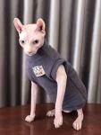 Sphynx Cat Clothes Hairless Cat Warm Fleece Vest Elastic Winter Sweater Outfit, Pet Clothes for Sphynx Cat Coat for Cats and Small Dogs Apparel, Hairless cat Shirts Sweaters (Blue Grey, Large)
