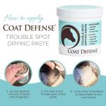 COAT DEFENSE Trouble Spot Drying Paste for Horses - Natural Equine Wound Care That Provides Safe & Effective Relief from Scratches, Sweet Itch, Summer Sores, Proud Flesh, Mud Fever, Girth Rot (10 Oz)