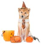 ADOGGYGO Fall Dog Necktie Pet Tuxedo Halloween Thanksgiving Dog Neck Tie Collar with Orange Plaid Tie for Large Dogs Pets (Large, Orange)