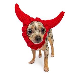 Zoo Snoods Red Devil Costume - Warm Knit Dog Snood Wrap for Pets, Neck Ear Cover Protection, Halloween Winter (Small)