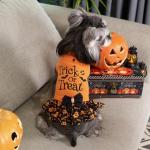 CuteBone Halloween Dog Sweater Dress Trick or Treat Knit Turtleneck Puppy Sweater with Bowtie Harness Hole Pullover Winter Dress for Small Medium Dogs and Cat Pet Apparel