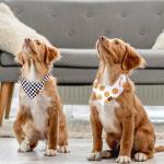 JarThenaAMCS 2Pcs One Happy Dude Dog Bandana Boho Smile Face Checkerboard Print Fabric Pet Scarf Medium Sizes Adjustable Pet Neckerchief Dog Bibs for Birthday Costume Accessories