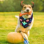 12 Pieces Halloween Dogs Bandanas Adjustable Triangle Bandana with Bat Ghost Pumpkin Patterns for Halloween Puppy Cat Costume PET Apparel Accessories (Pumpkin and Ghost)