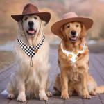 JarThenaAMCS 2Pcs One Happy Dude Dog Bandana Boho Smile Face Checkerboard Print Fabric Pet Scarf Medium Sizes Adjustable Pet Neckerchief Dog Bibs for Birthday Costume Accessories