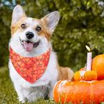 12 Pieces Halloween Dogs Bandanas Adjustable Triangle Bandana with Bat Ghost Pumpkin Patterns for Halloween Puppy Cat Costume PET Apparel Accessories (Pumpkin and Ghost)