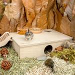 Niteangel Multi-Chamber Hamster House Maze: - Multi-Room Hideouts & Tunnel Exploring Toys for Hamster Gerbils Mice Lemmings (6-Room Small)