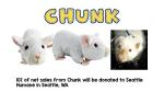 Shelter Pets Series One: Chunk The Rat - 10" White Siamese Rat Plush Toy Stuffed Animal - Based on Real-Life Adopted Pets - Benefiting The Animal Shelters They were Adopted from