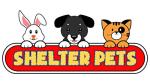 Shelter Pets Series One: Chunk The Rat - 10" White Siamese Rat Plush Toy Stuffed Animal - Based on Real-Life Adopted Pets - Benefiting The Animal Shelters They were Adopted from