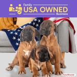 PETSWORLD 2XL Puppy Pads, 28x44 Inch, 100 Count| Ultra-Absorbent, Leak-Proof Dog Pee Pads for Potty Training