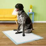 Four Paws Wee-Wee Pads, Gigantic, 18 per Pack (4 Packs)