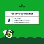 Greenies Pill Pockets for Dogs Large Size, Soft Dog Treats, Cheese Flavor, 15.8 oz. Pouch (60 Treats)