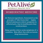 PetAlive Muscle and Joint Support-M - Natural Homeopathic Formula for Joint Pain and Stiffness in Pets - Supports Joint Health and Movement in Dogs and Cats - 59 mL