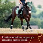 Vita Flex Pro Pure C Premium Quality Horse Vitamin C, 2 Pounds, 128-Day Supply