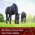 Vita Flex Pro Pure C Premium Quality Horse Vitamin C, 2 Pounds, 128-Day Supply